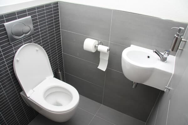 Toilet and sink
