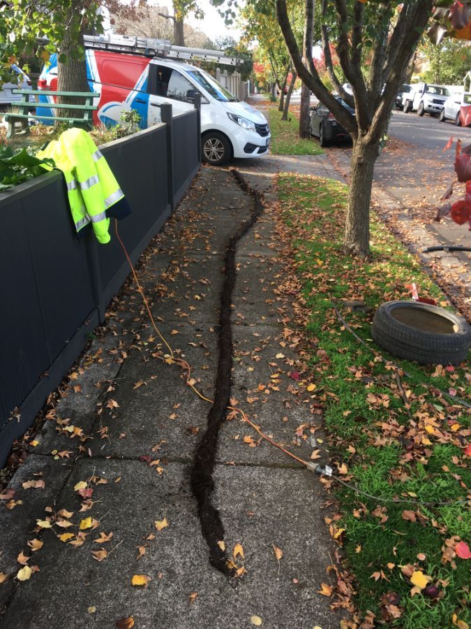 a very long tree root lies on a footpath after being pulled from a drain.