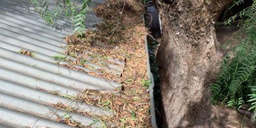 gutter cleaning services